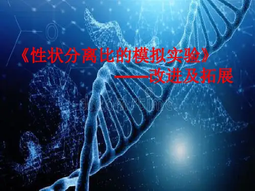 《性状分离比的模拟实验》改进及拓展说课课件高一下学期生物人教版必修2