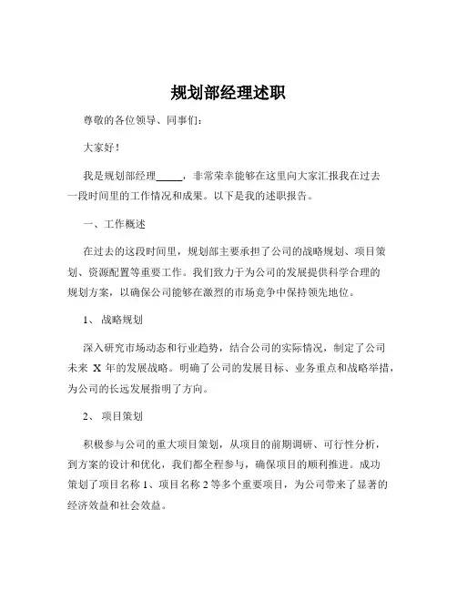规划部经理述职