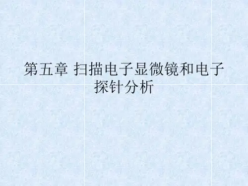 扫描电子显微镜与电子探针分析资料(ppt 54页)