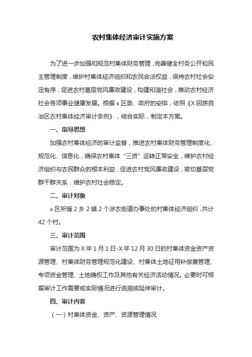 农村集体经济审计实施方案(最新)