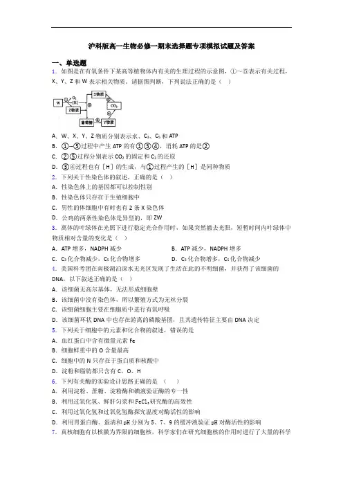 沪科版高一生物必修一期末选择题专项模拟试题及答案