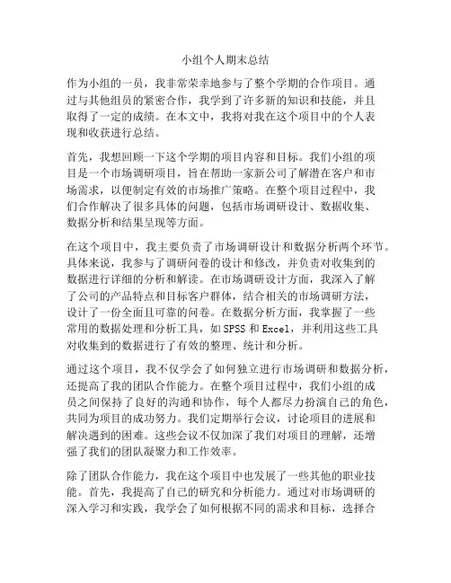 小组个人期末总结