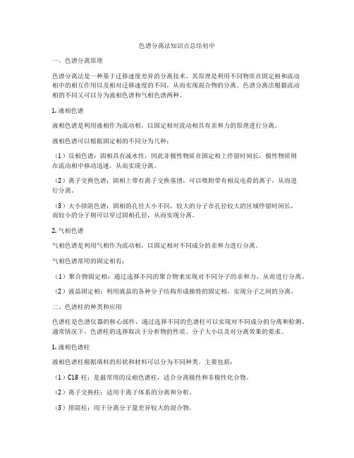 色谱分离法知识点总结初中