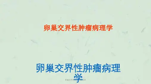卵巢交界性肿瘤的病理学课件