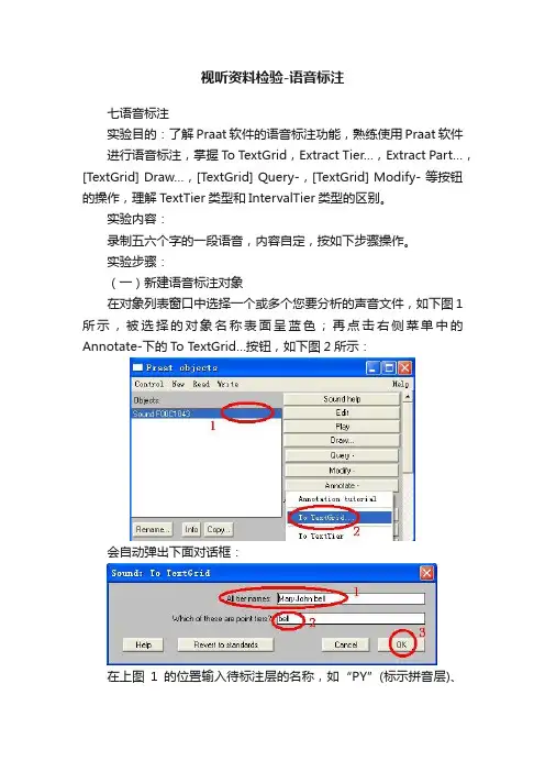 视听资料检验-语音标注