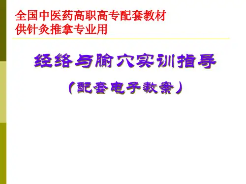 手厥阴心包经