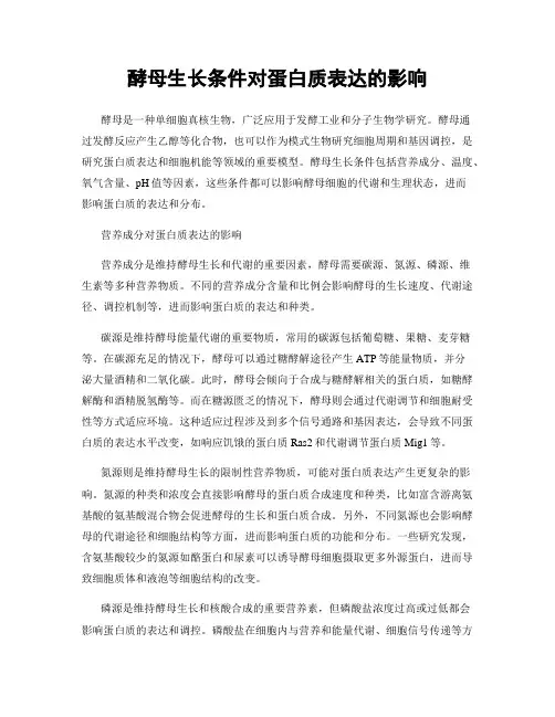酵母生长条件对蛋白质表达的影响
