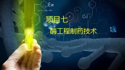 《生物制药工艺技术》 酶工程制药技术