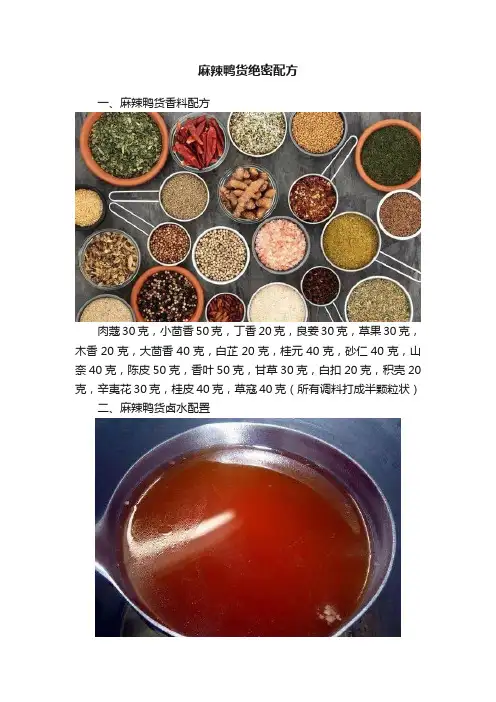 麻辣鸭货绝密配方