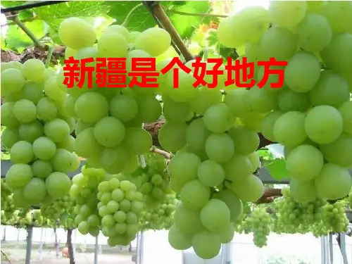 人音版二年级音乐《是个好地方》课件1