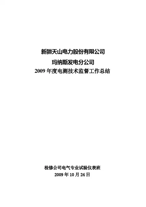 2009年电测监督总结10.24