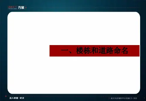 房地产项目楼栋命名和园林景观规划建议XXXX