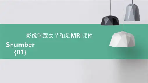 影像学踝关节和足MRI课件