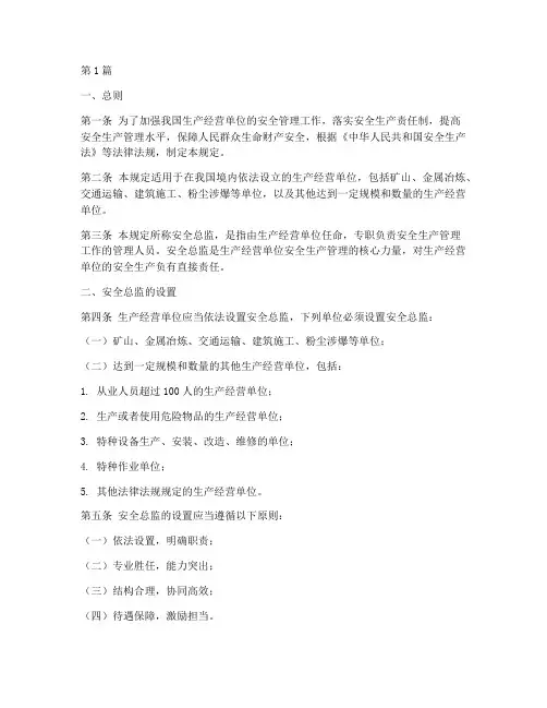 安全总监的设置规定(3篇)
