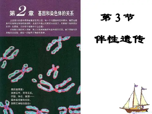 伴性遗传说课.ppt