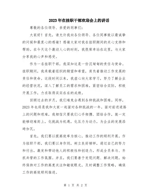 2023年在挂职干部欢迎会上的讲话