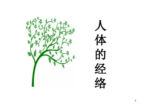 经络ppt课件