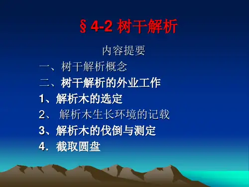 4-2 树干解析