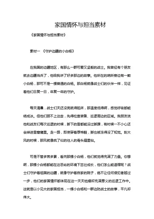 家国情怀与担当素材