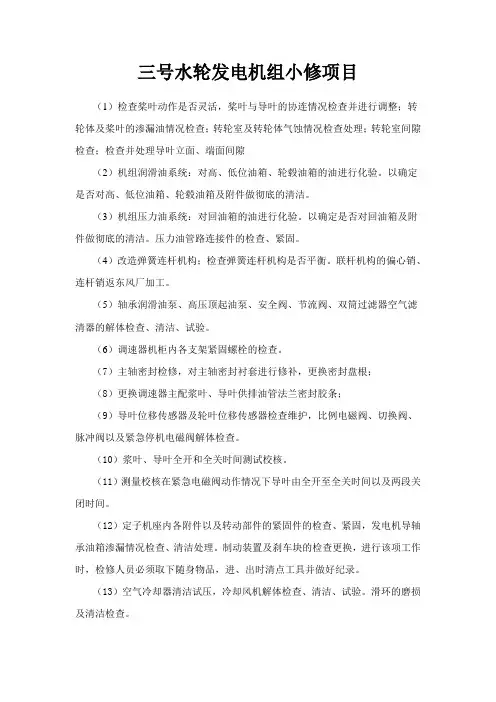 水轮发电机组维修项目