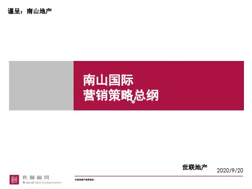 世联深圳南山国际项目营销策略总纲报告