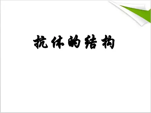 抗体的结构