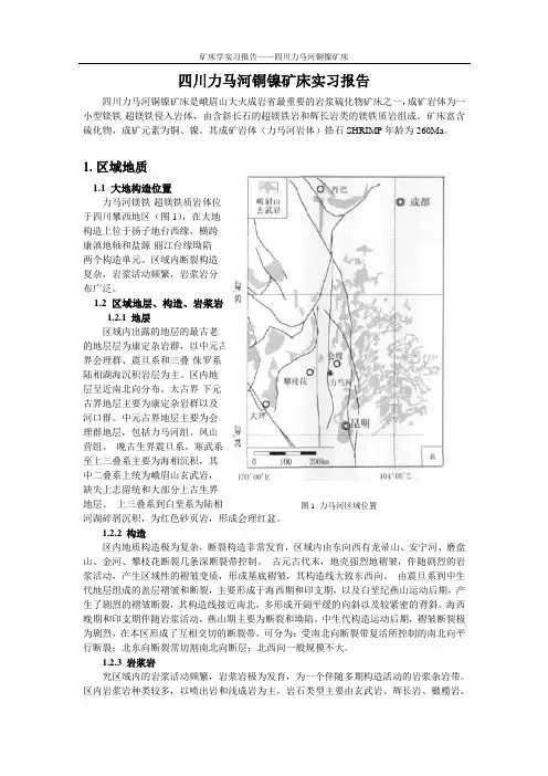 四川力马河铜镍矿床实习报告