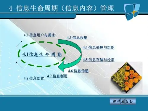 信息管理概论4 信息生命周期(信息内容)管理