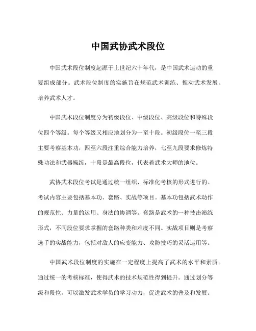 中国武协武术段位