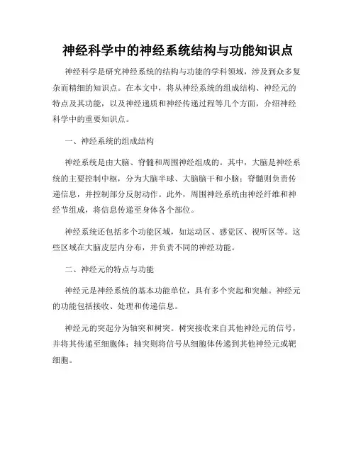 神经科学中的神经系统结构与功能知识点