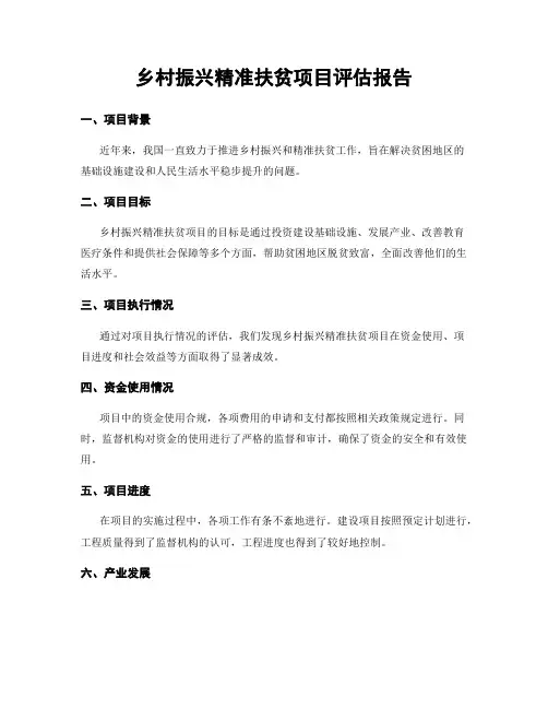 乡村振兴精准扶贫项目评估报告