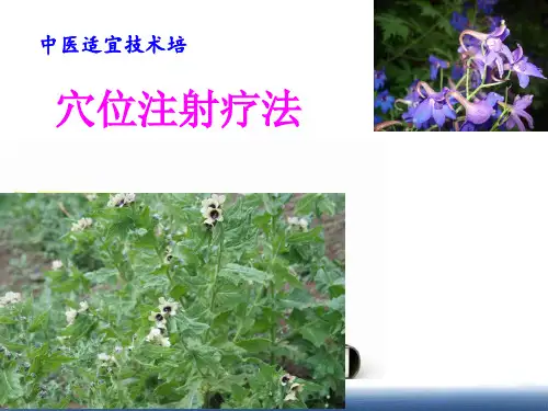 穴位注射疗法