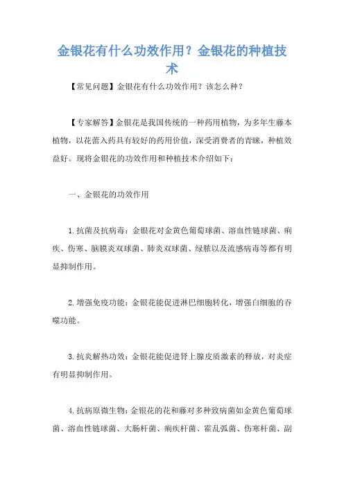 金银花有什么功效作用？金银花的种植技术