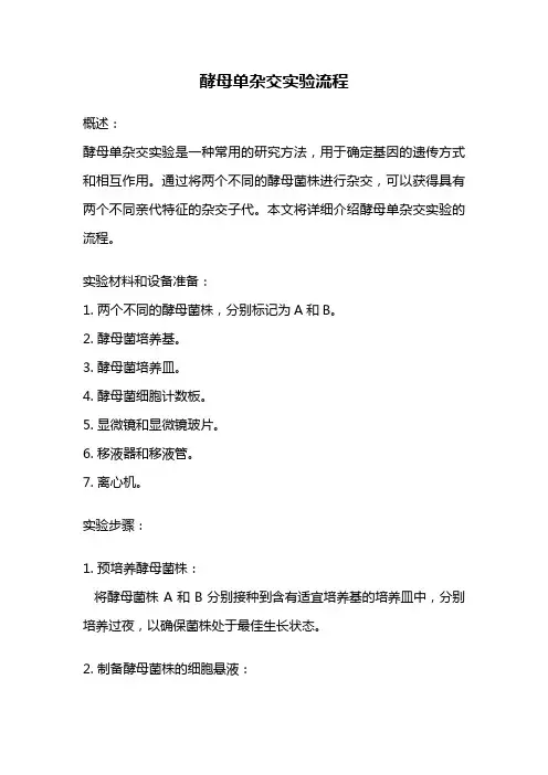 酵母单杂交实验流程
