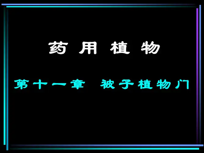 被子植物