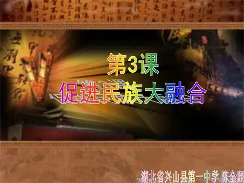 历史：3.3《促进民族大融合》课件1(人教版选修1)