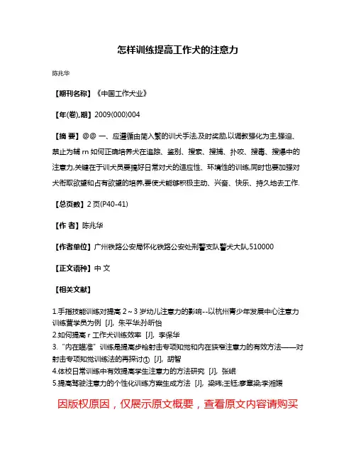 怎样训练提高工作犬的注意力