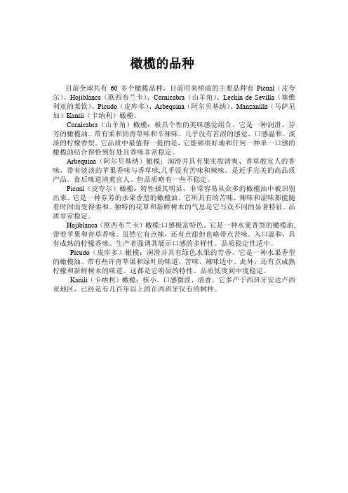 橄榄的品种