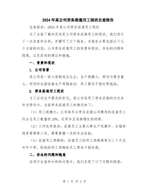 2024年某公司劳务派遣用工现状自查报告