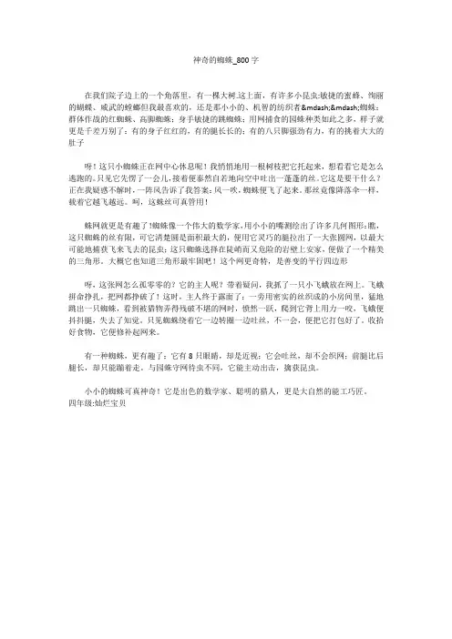 神奇的蜘蛛(800字作文)