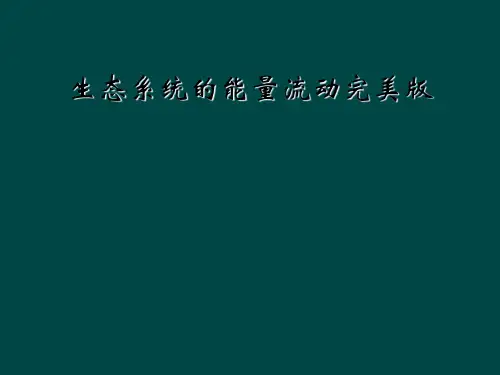 生态系统的能量流动完美版