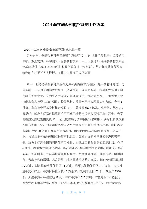 2024年实施乡村振兴战略工作方案