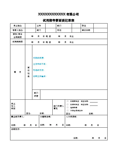 试用期考察面谈记录表