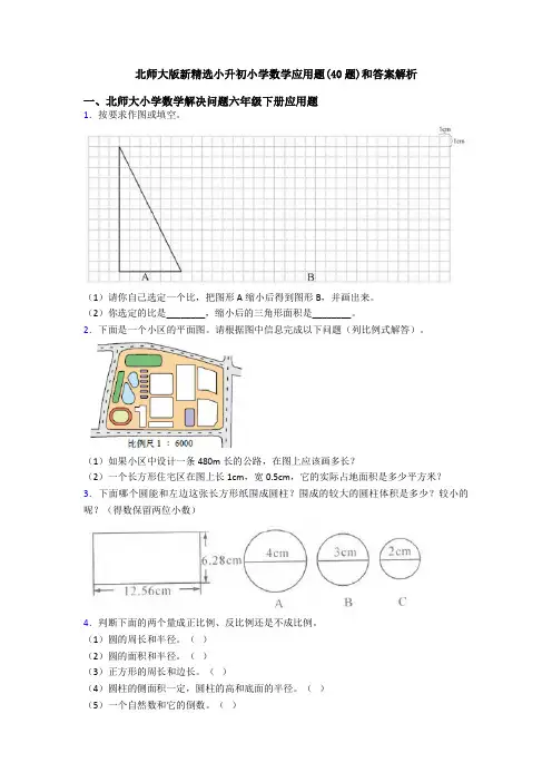 北师大版新精选小升初小学数学应用题(40题)和答案解析