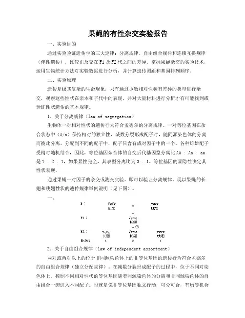 果蝇有性杂交实验