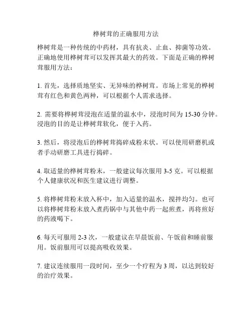 桦树茸的正确服用方法
