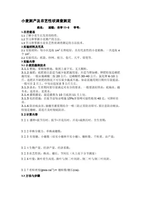 [讲解]小麦考种