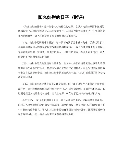 阳光灿烂的日子 (影评)