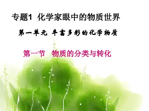 苏教版高一化学必修一专题一第一单元 丰富多彩的化学物质  课件(共23张PPT)