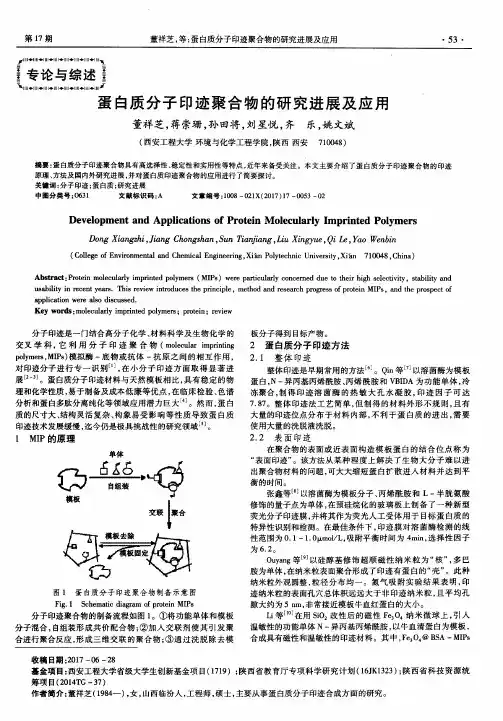 蛋白质分子印迹聚合物的研究进展及应用